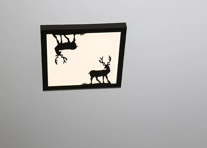 Appartamento Cuori, Cervi E Caprioli *