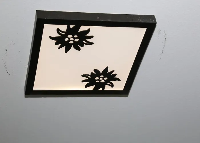 Cuori, Cervi E Caprioli