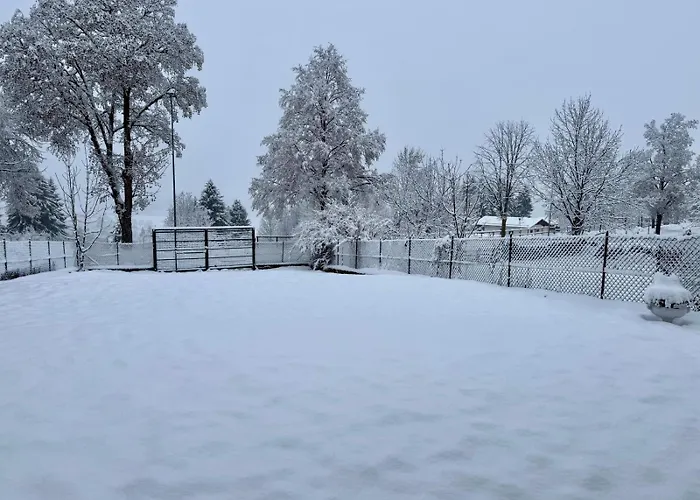 Cuori, Cervi E Caprioli
